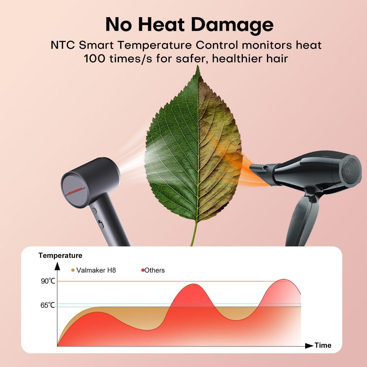 High-Speed Hair Dryer with Diffuser,Ionic Blow Dryer(Grey)